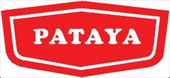 PATAYA FOOD INDUSTRIES (VIETNAM) COMPANY LIMITED